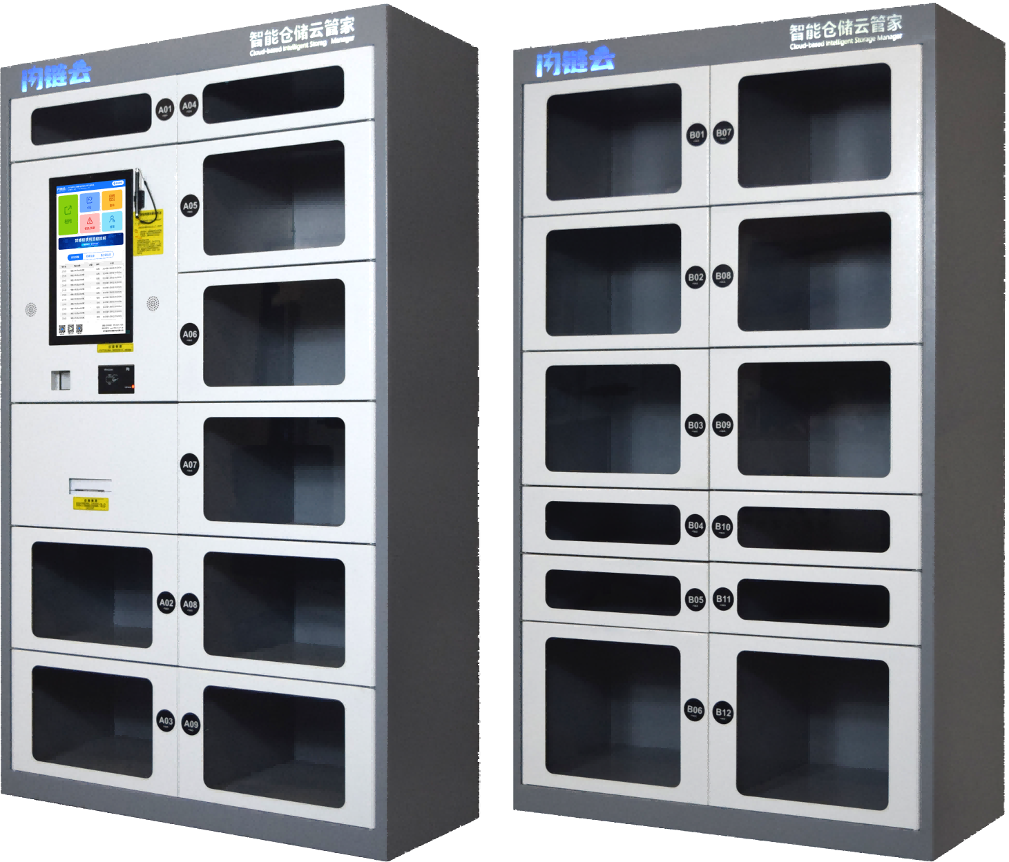Smart Door Cabinet