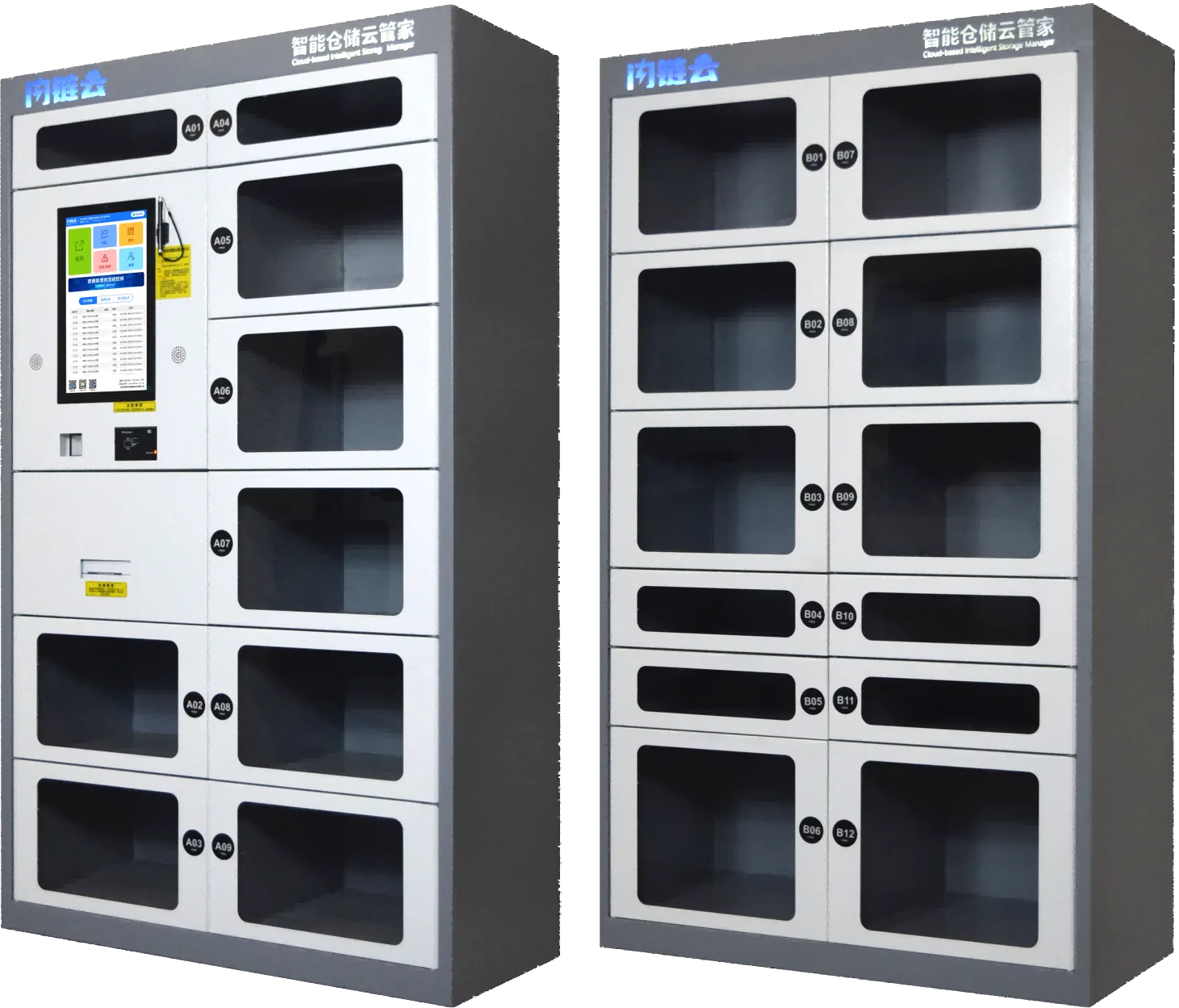 Smart Door Cabinet